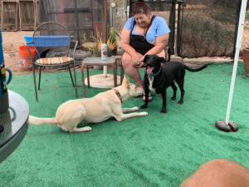 Are you ready to play yet? Quasimodo asks Tsuya