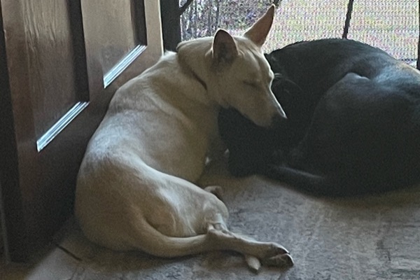 5F2E136C E1AB 4922 9A34 070E1D43E41E