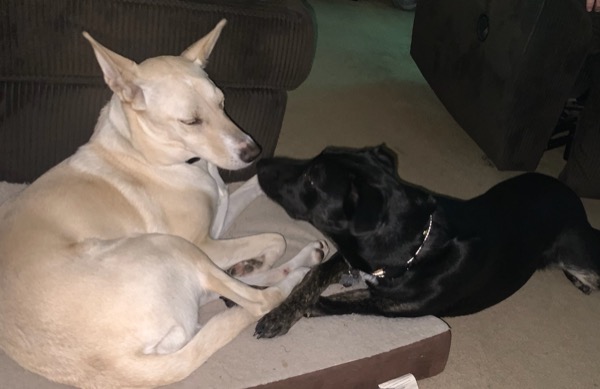 641BBD55 E089 46D5 8551 79A5E41AA2F6