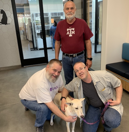 I think I want to go home with you